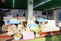 IMG_3154_resize