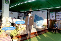 IMG_3209_resize