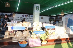 IMG_3218_resize