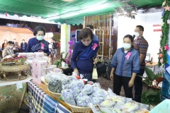 IMG_3380_resize