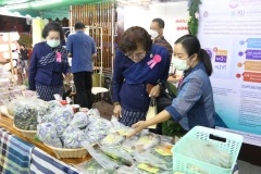 IMG_3381_resize