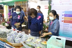IMG_3382_resize