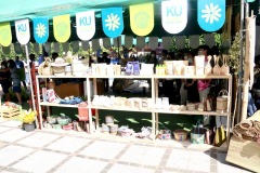 IMG_9582_resize