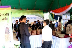 IMG_9734_resize