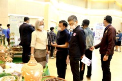 IMG_7397_resize